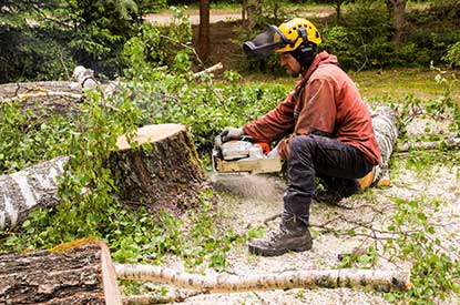 Best Land Clearing Sydney