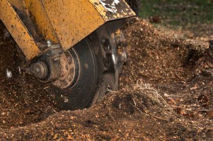 Professional Sydney Stump Grinding Services